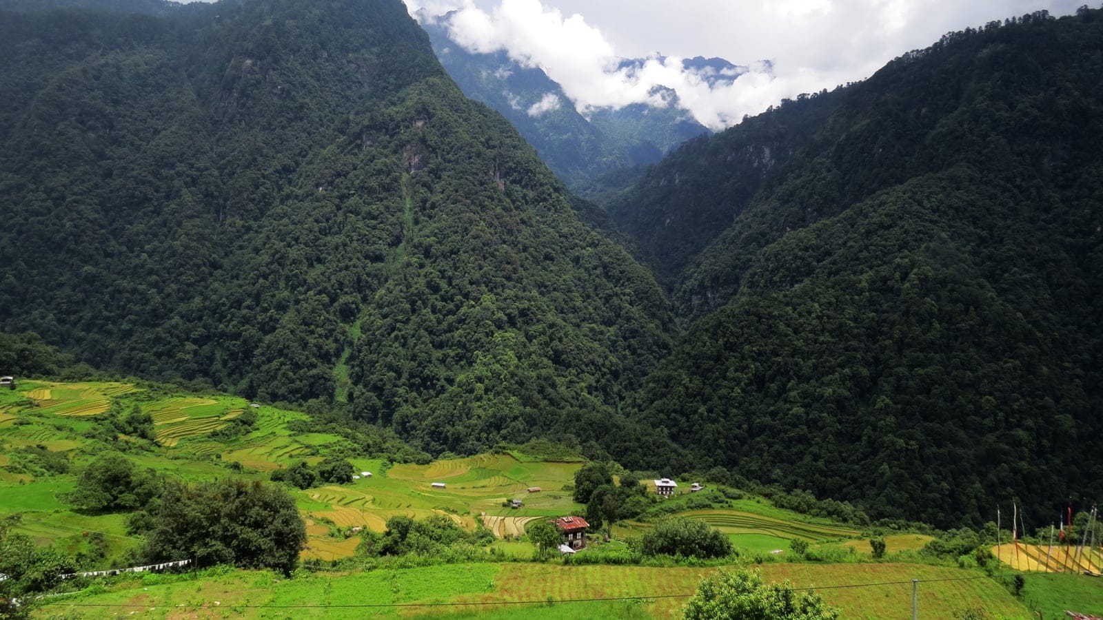 Densely forested mountains in Jigme Dorji National Park in the eastern Himalaya.
