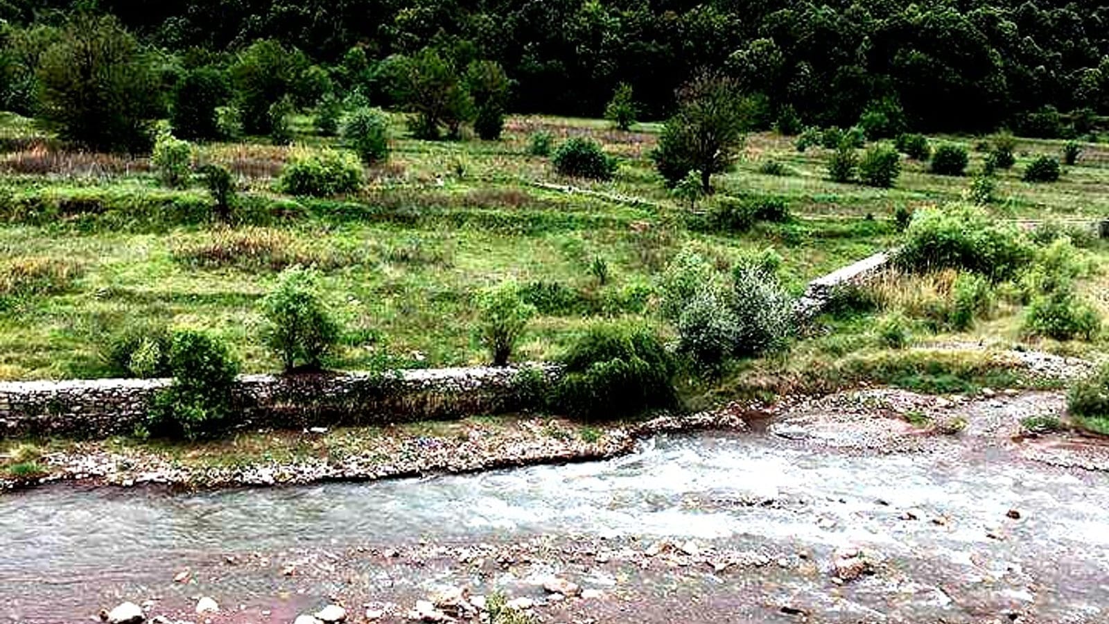Grazed terraces and scattered shrubs above a braided gravel stream at Satorra, Abbottabad, Pakistan.