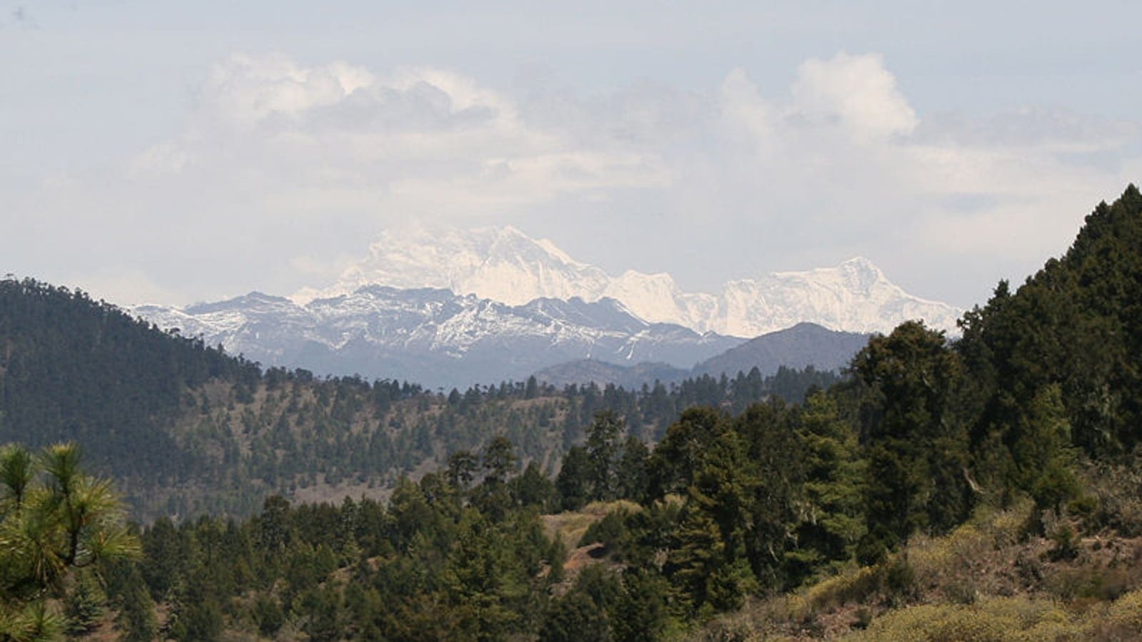 Subalpine conifer forest and high Himalayan mountain terrain near Gangkhar Puensum.