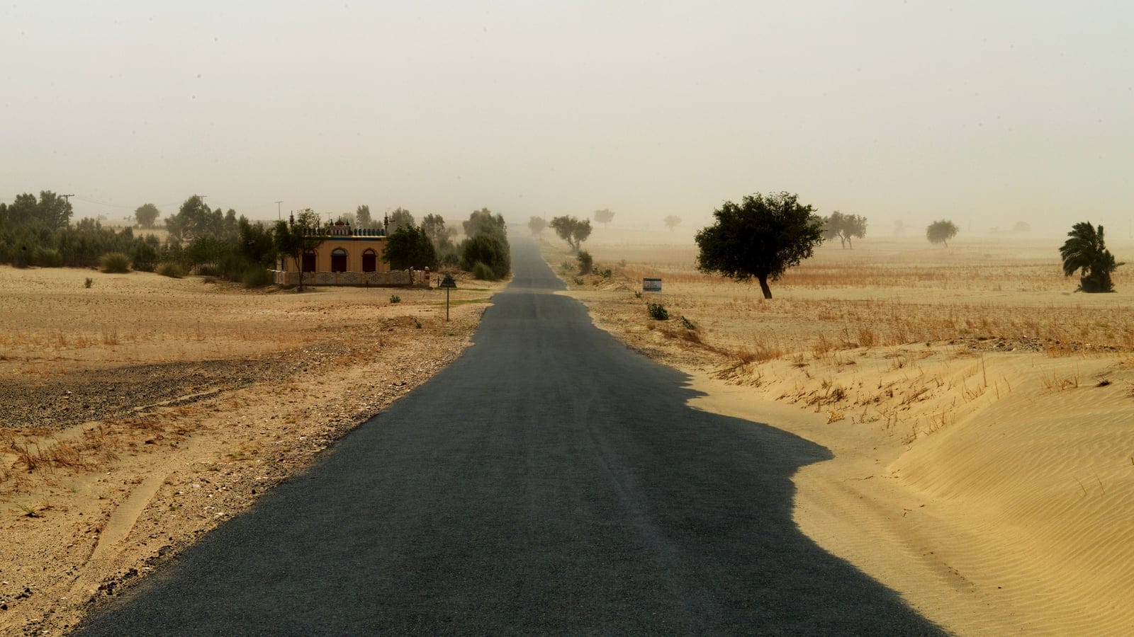 A sealed road crossing rippled sand and scattered thorn trees in the Thal Desert, Punjab, Pakistan.