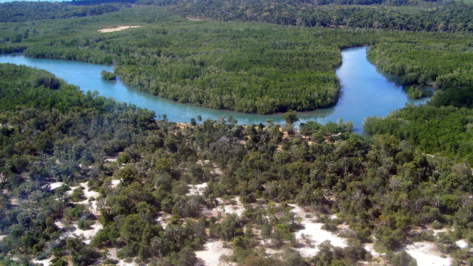 Tidal creek winding between mangrove and dry forest at Anjajavy, northwestern Madagascar.