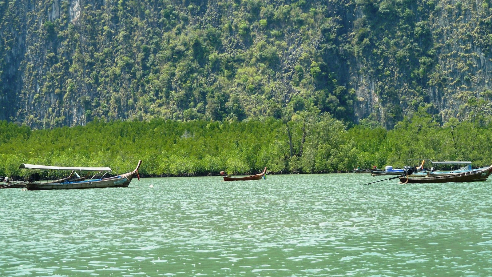 Mangrove fringe below a vegetated limestone karst wall, Ao Phang Nga National Park, Thailand.