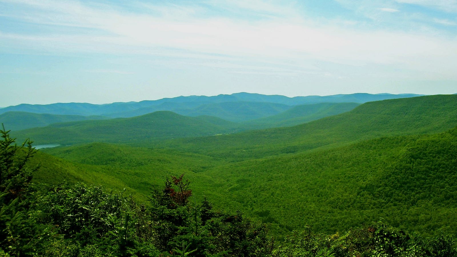 Rolling forested Catskill highlands viewed from Twin Mountain in New York.