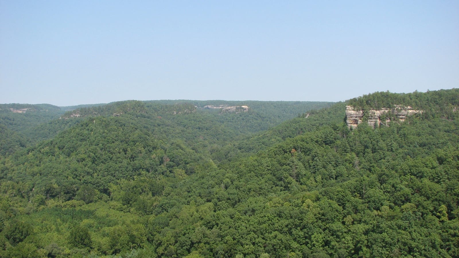 Forested gorge and cliffs at Hansons Point in the Appalachian mixed mesophytic forest region.