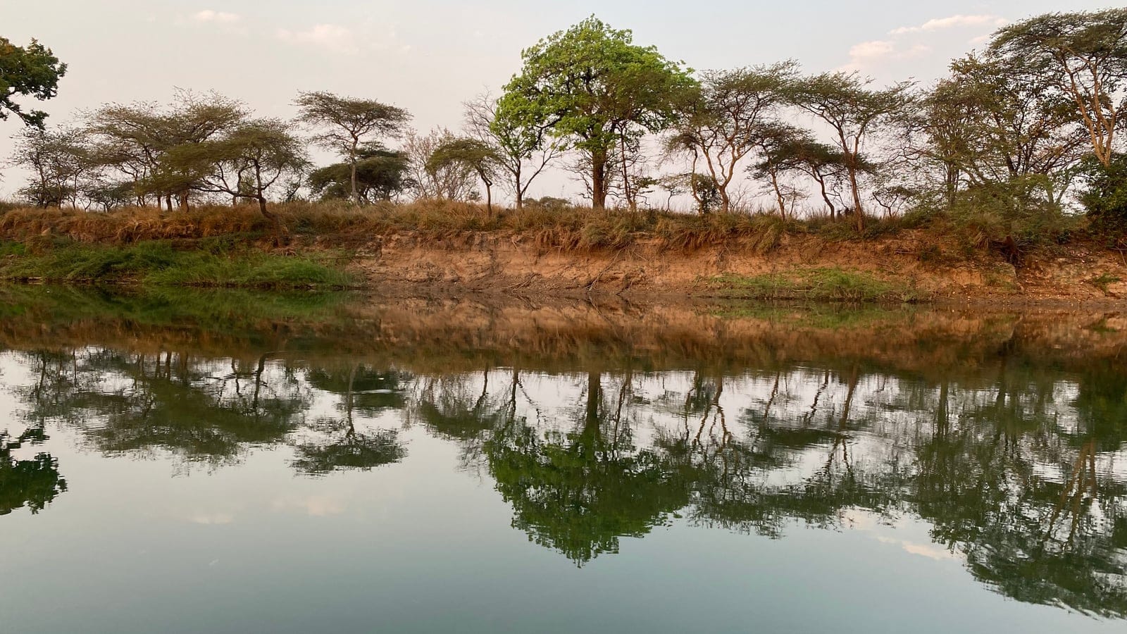 Closed-canopy evergreen dry forest along the bank of the Kabompo River in West Lunga National Park, north-western Zambia.