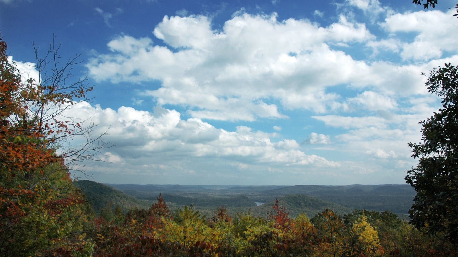 Autumn hardwood forest and rolling Piedmont hills from Morrow Mountain, North Carolina.