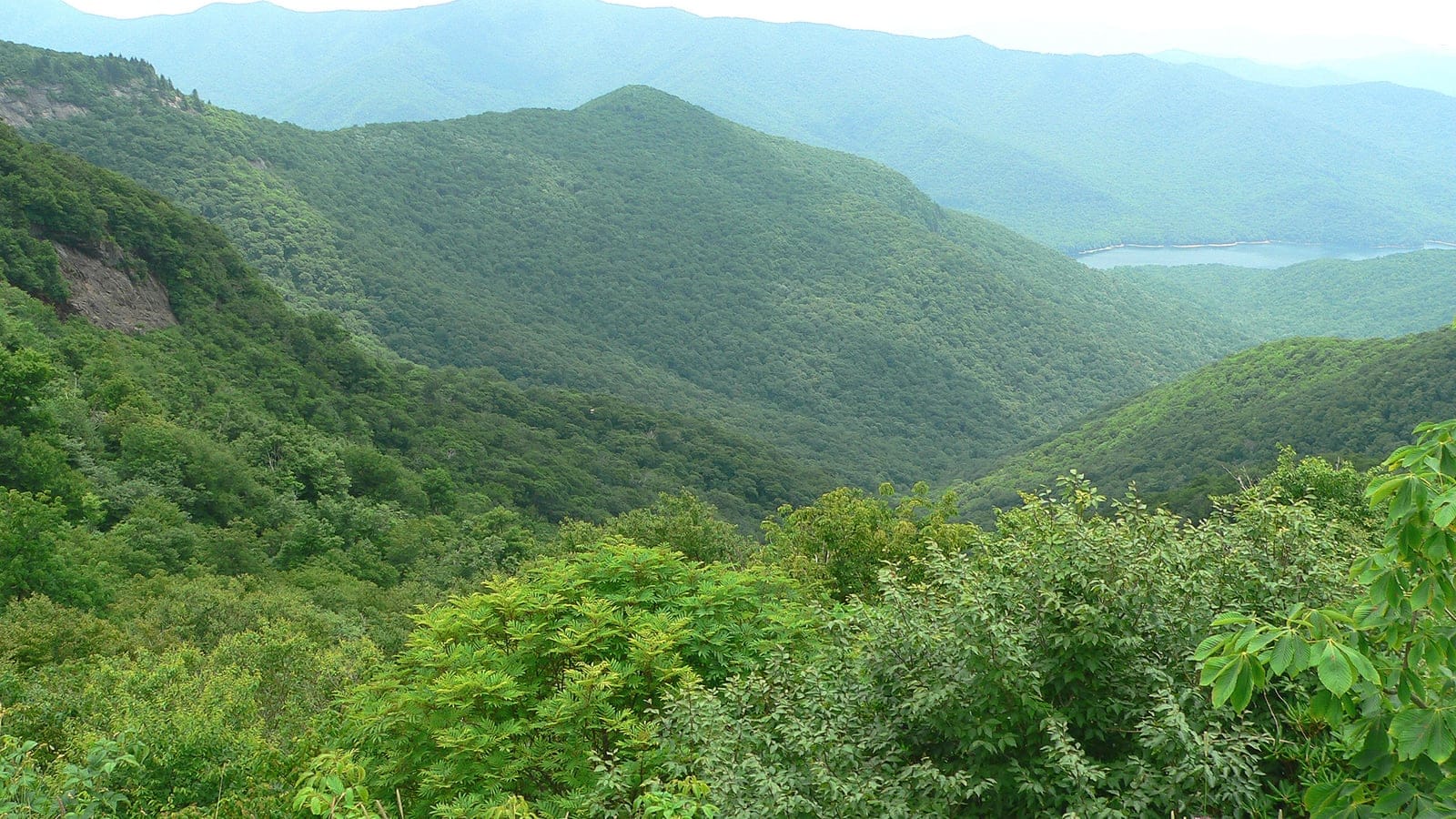 Layered forested slopes of the Blue Ridge near Craggy Gardens, North Carolina.