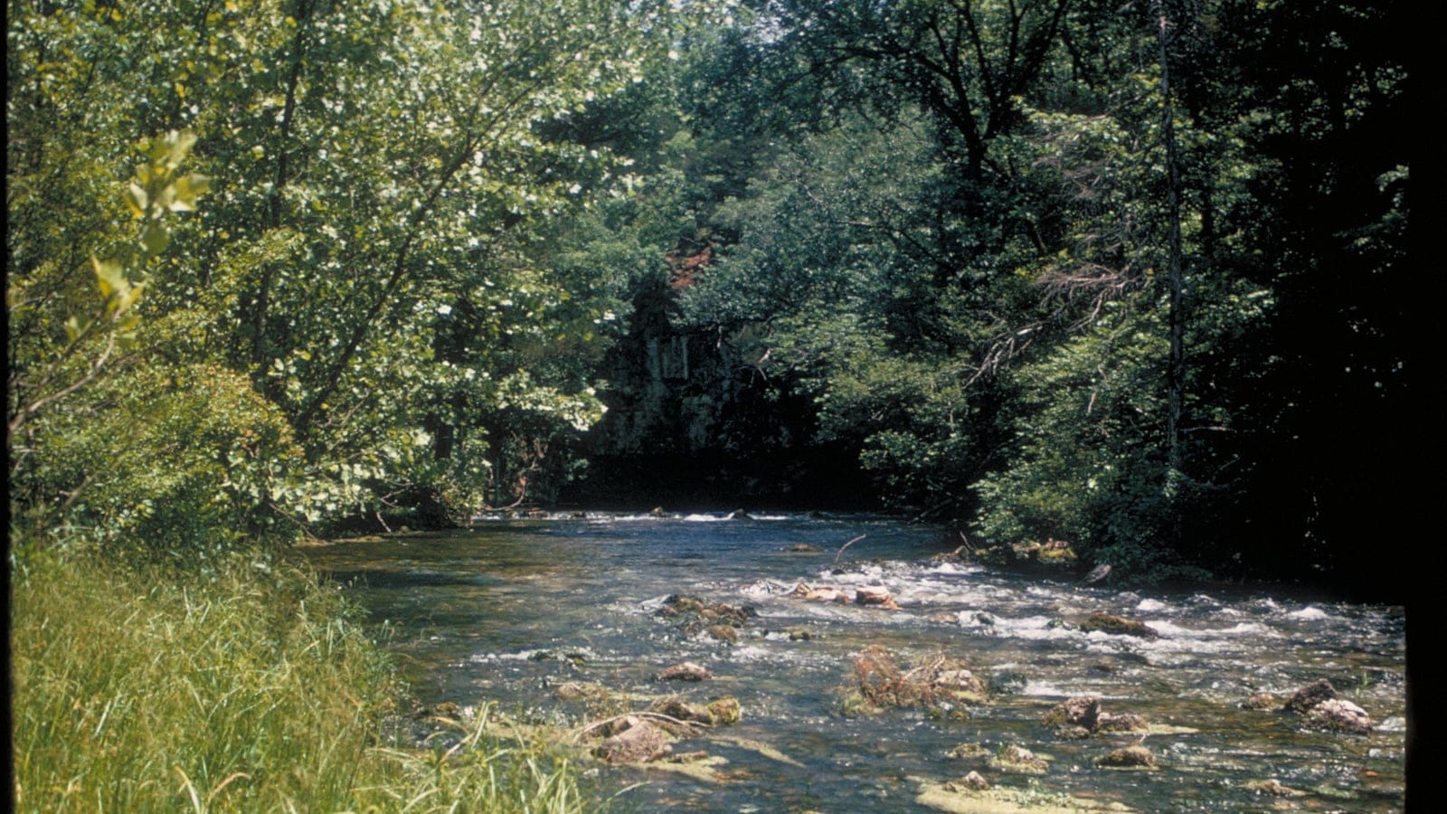 Clear gravel-bed river between hardwood banks and a pale rock bluff, Ozark National Scenic Riverways, Missouri.