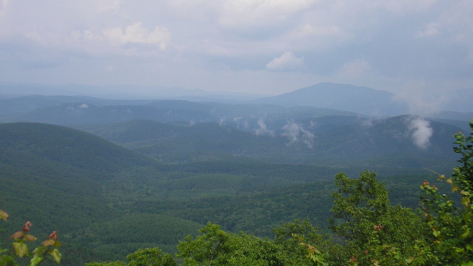 Forested ridges receding into haze from Talimena Drive, Ouachita Mountains, Oklahoma.