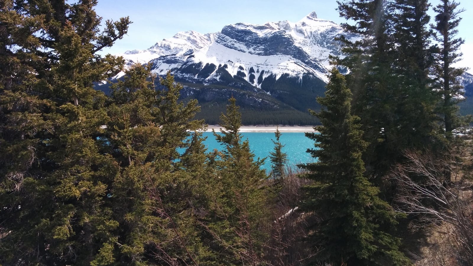 Conifer forest, mountain lake, and Rocky Mountain foothill terrain in Alberta.