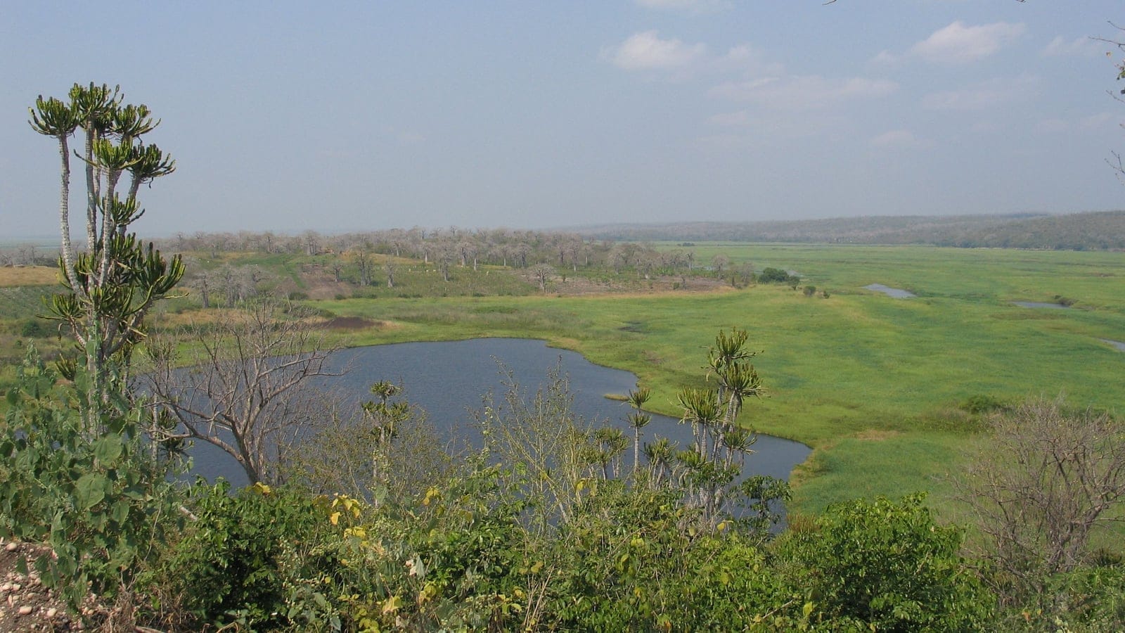A calm lake fringed by savanna grassland and scattered woodland trees under a hazy sky on the Bengo/Cuanza coastal floodplain of western Angola.