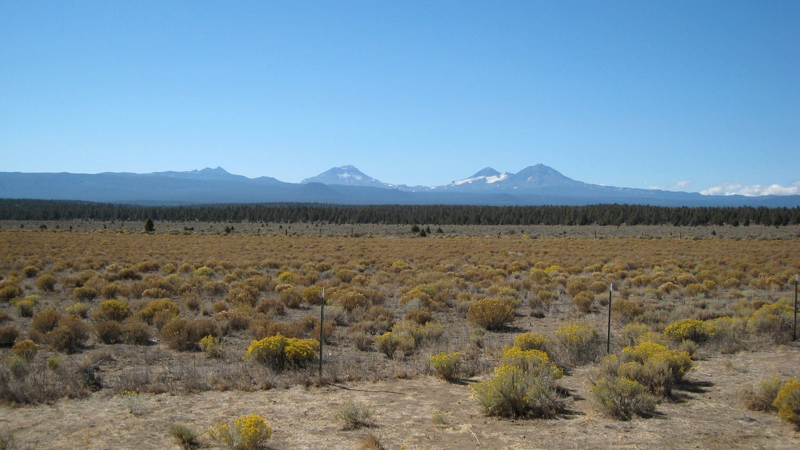 Eastern Cascades pumice plateau with conifer forest and dry volcanic uplands.