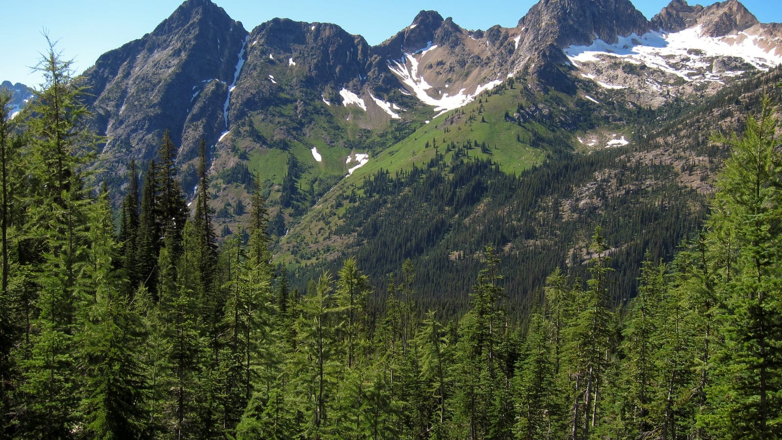 Subalpine fir and spruce below snow-streaked granite peaks, Okanogan National Forest, Washington.
