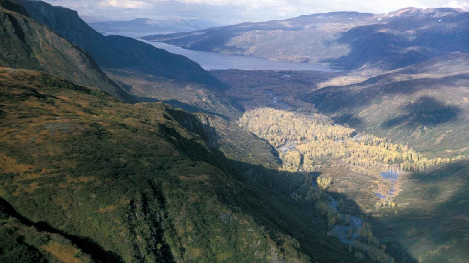 Glacial valley vegetation descending toward Kizhuyak Bay on Kodiak Island, Alaska.