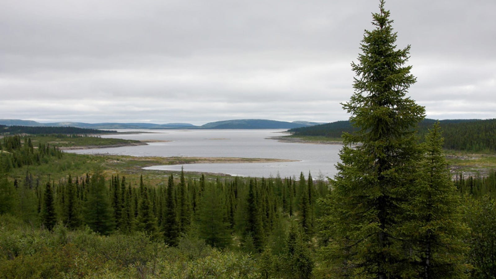Canadian Shield taiga, spruce forest, and reservoir landscape along the Trans-Taiga Road in Quebec.