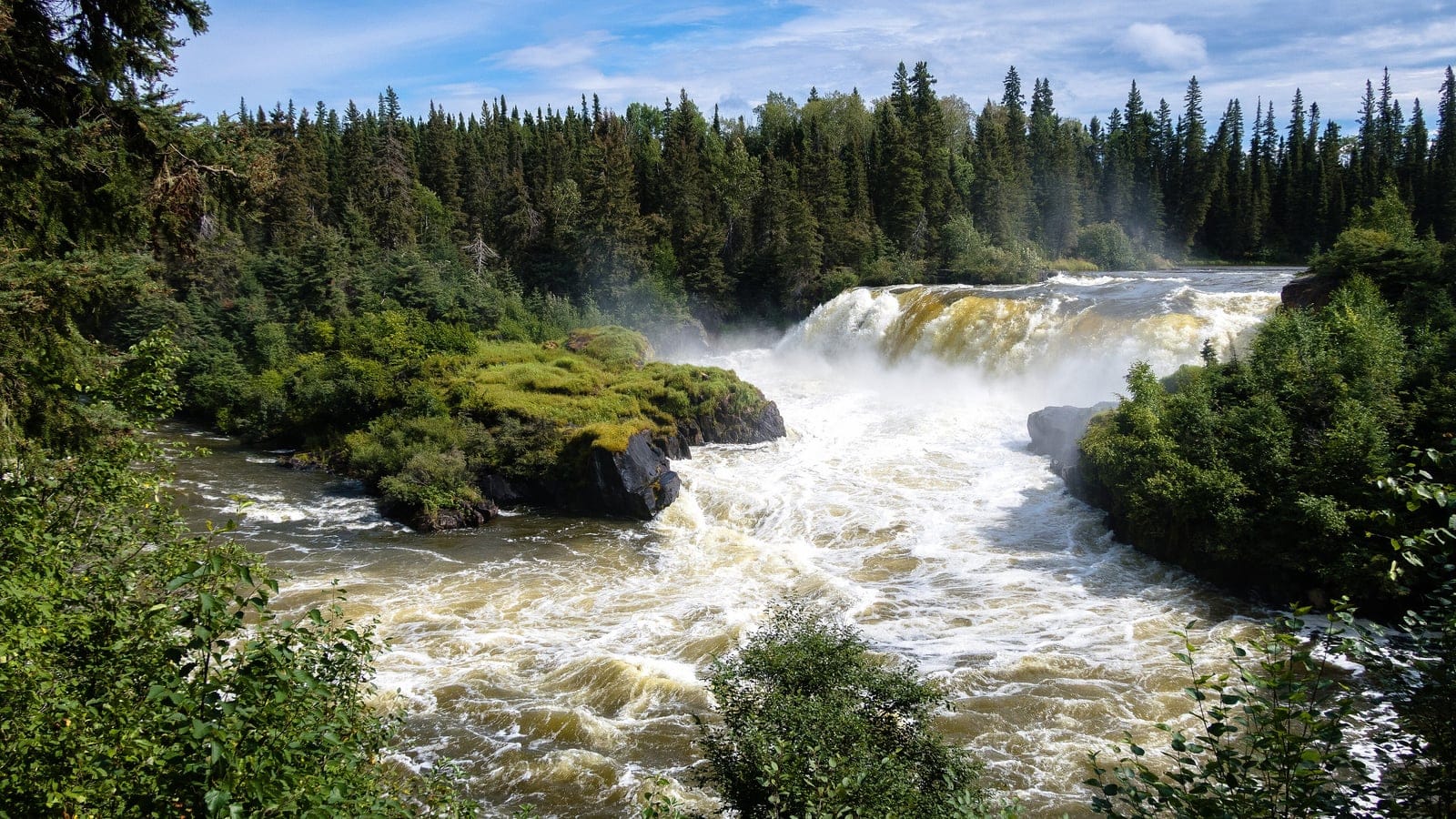 Black spruce forest around the rapids at Pisew Falls, Manitoba.