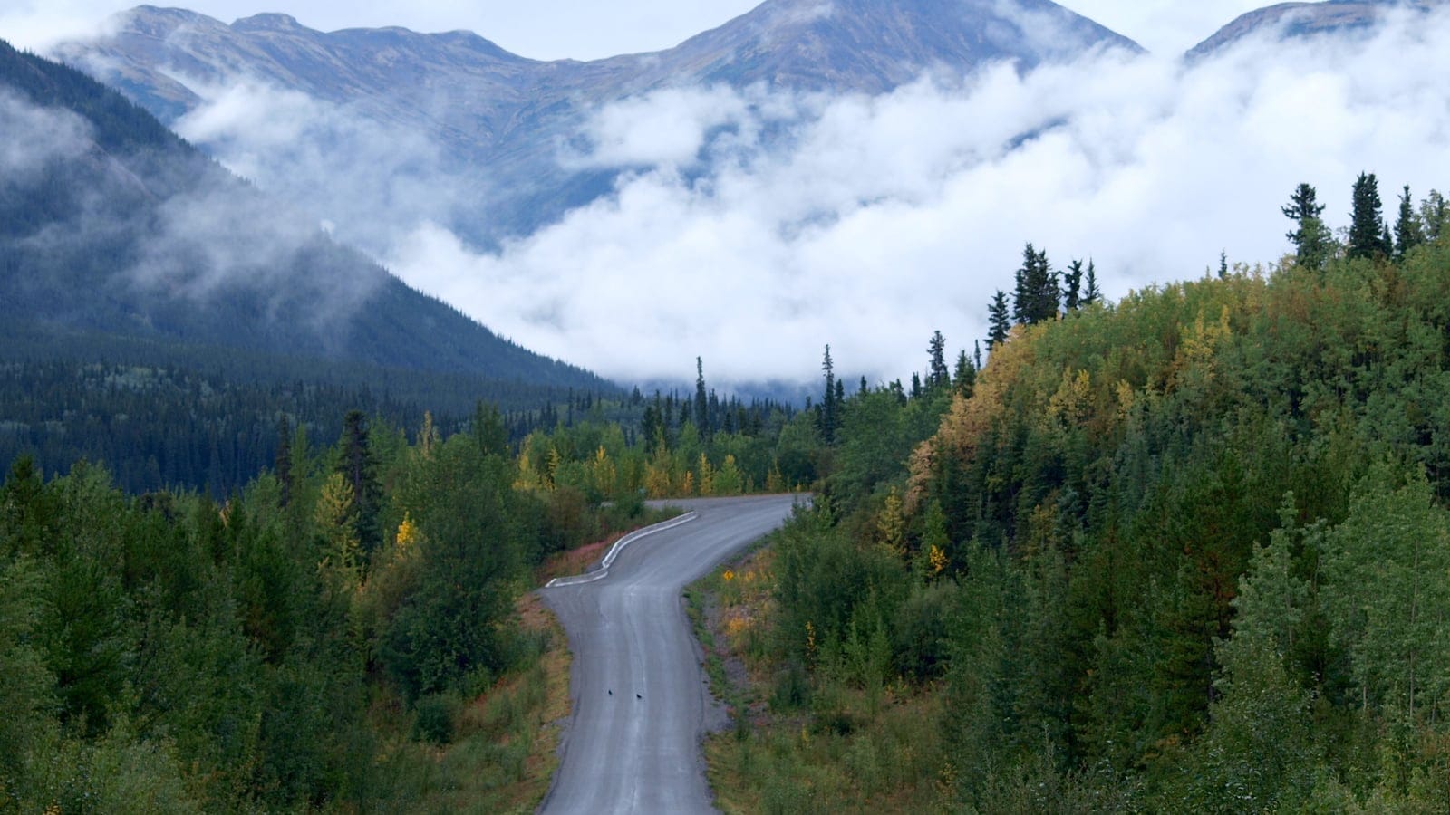 Spruce and yellowing birch flanking a highway below cloud-wrapped Cassiar peaks, northern British Columbia.