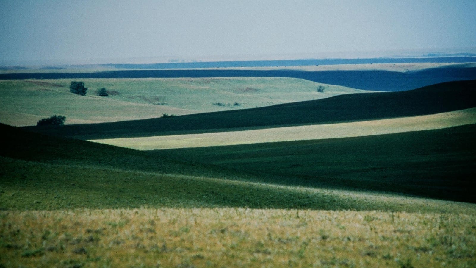 Rolling tallgrass prairie across the Flint Hills in the central-southern United States.