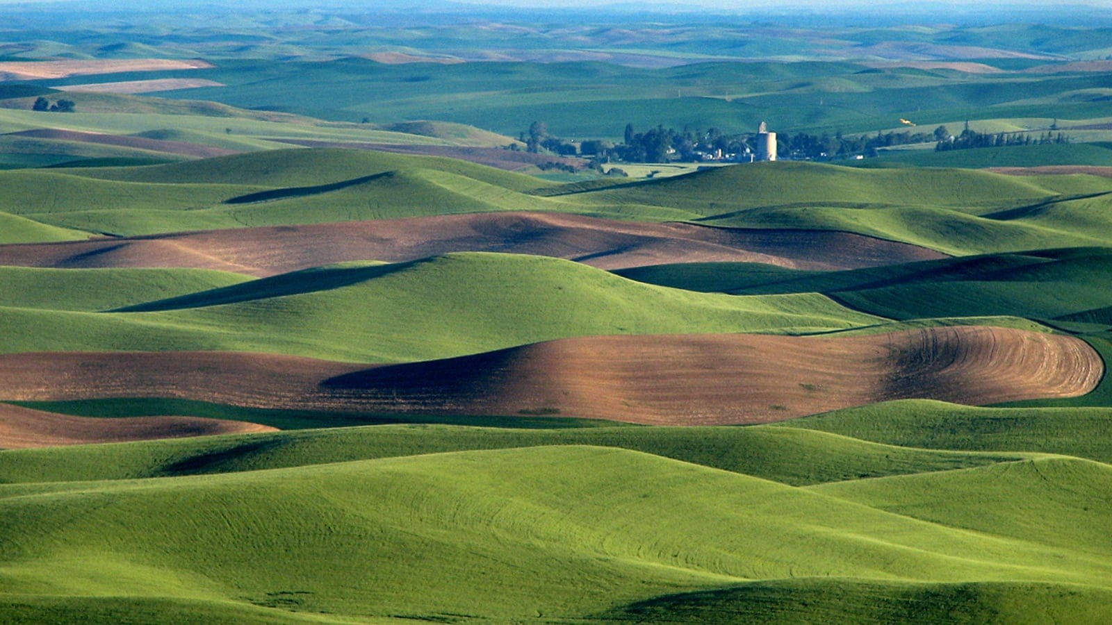 Rolling wheat and tilled fields over the Palouse Hills, Washington.