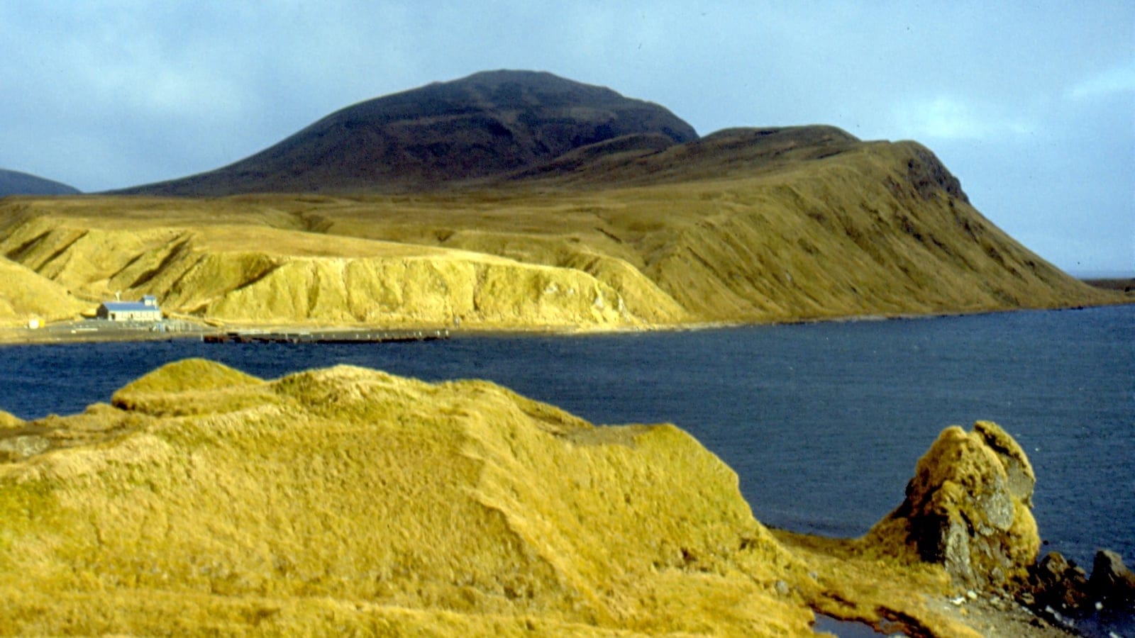 Treeless maritime tundra rolling across Adak Island in the central Aleutian Islands, low grass and heath vegetation over volcanic terrain under overcast sky.