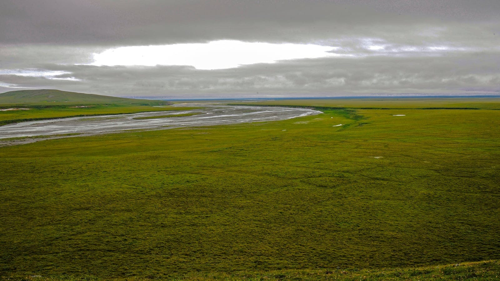 Arctic coastal tundra and the Firth River delta viewed from Engigstciak.