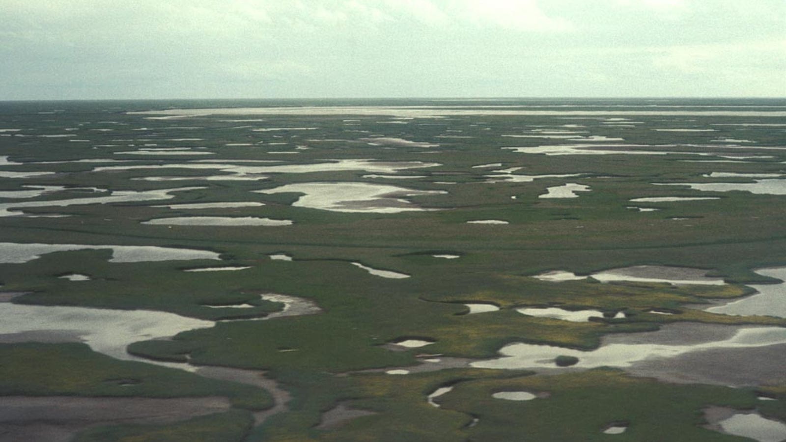 Aerial view of Kuskokwim Delta wetlands in lowland Beringia tundra.