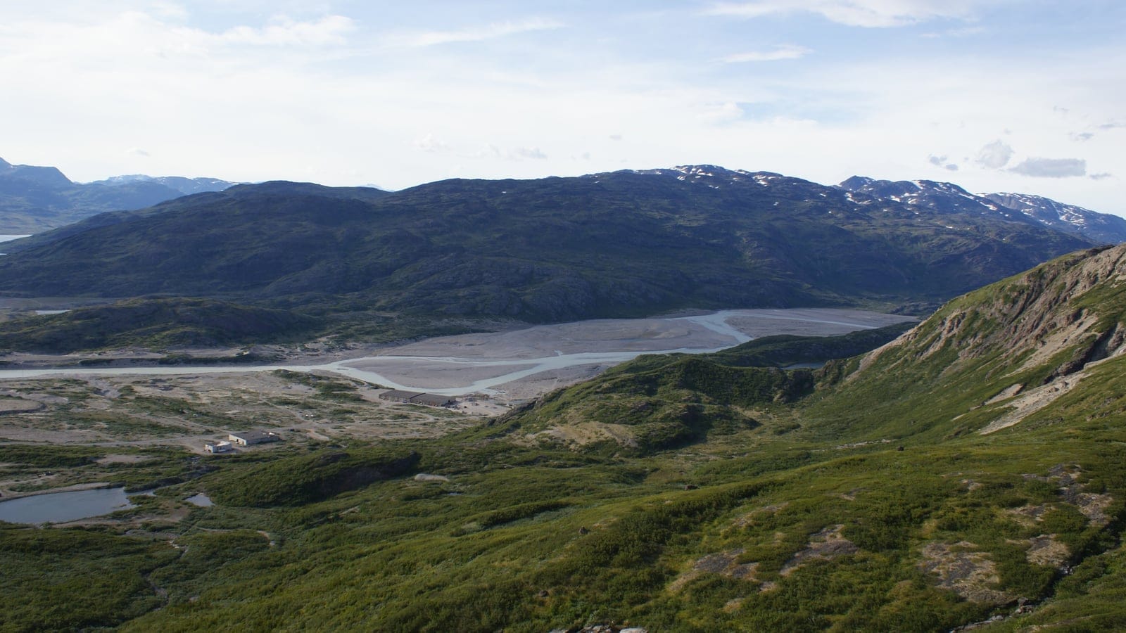 Dwarf birch and willow heath above a braided outwash river at Narsarsuaq, southern Greenland.