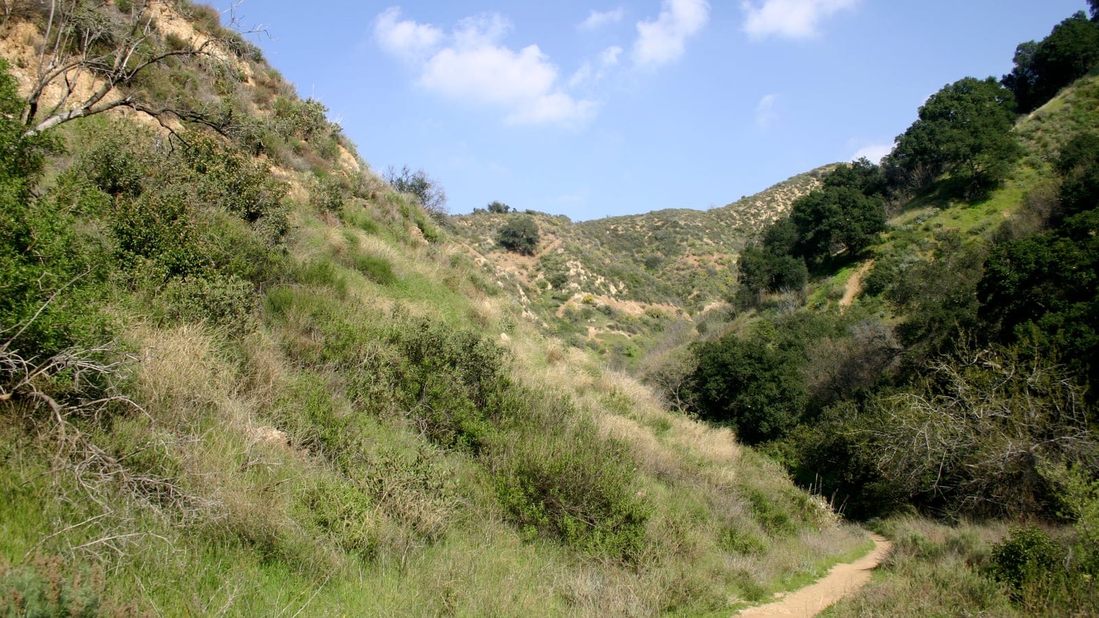 Chaparral-covered canyon slopes in Towsley Canyon, California.