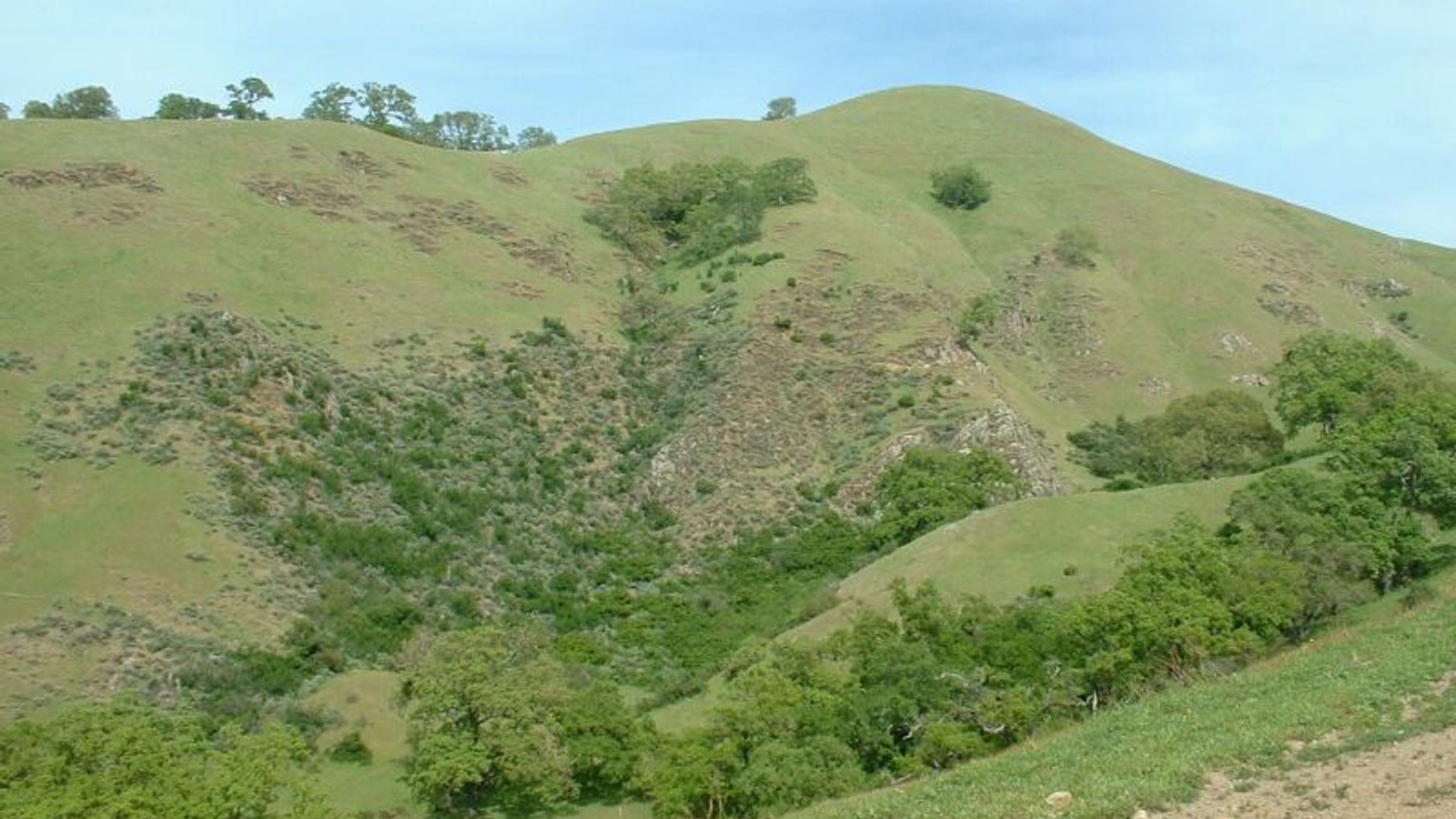 Interior California chaparral and oak woodland in Sunol Regional Wilderness.