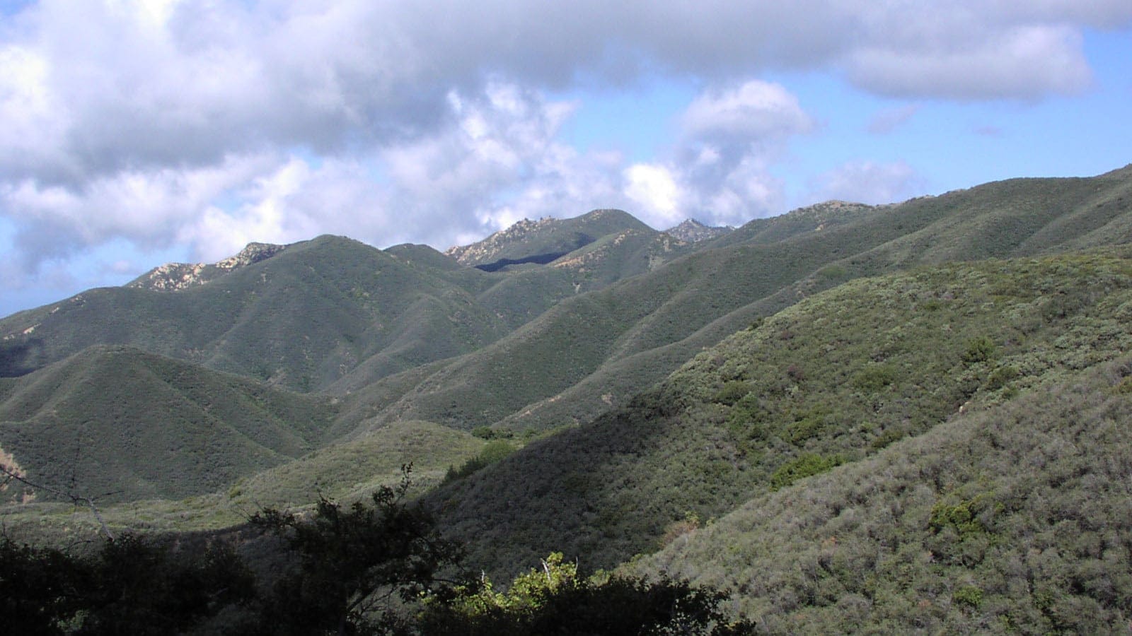 Montane chaparral-covered slopes in California.