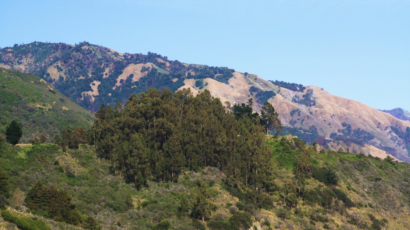 Chaparral, grassland and a eucalyptus grove on ridges above Lucia in the Santa Lucia Range, California.