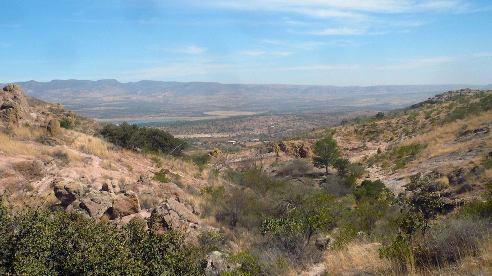 Rocky slope with shrubs and dry grassland in the Central Mexican matorral.