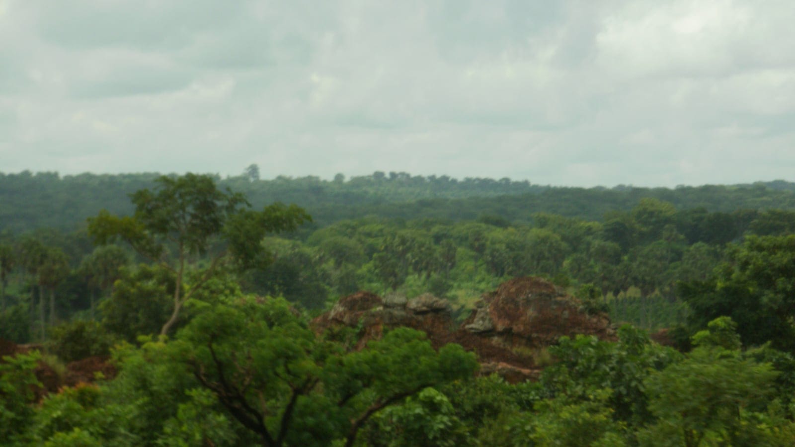 Open savanna woodland near Kintampo, central Ghana, with scattered fire-resistant trees over a grassy understory under a hazy sky.