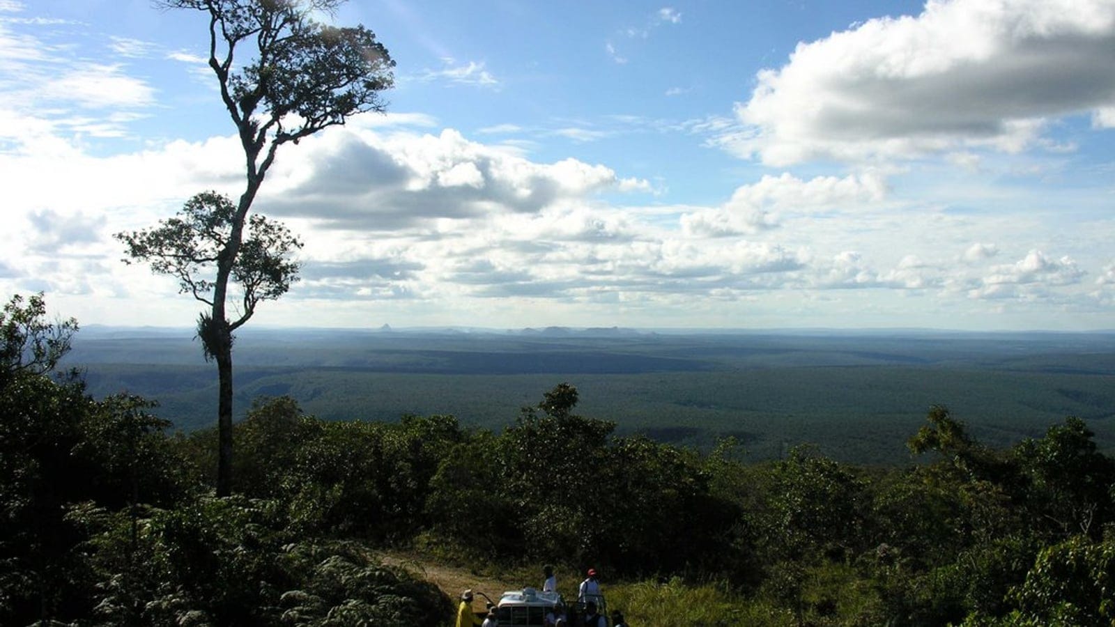 Interior Atlantic forest landscape at Mata Escura Biological Reserve in Minas Gerais, Brazil.