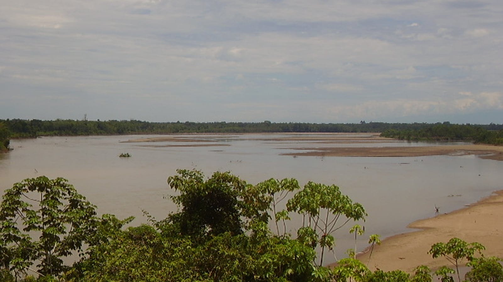 Caqueta River with forested banks in Colombia.