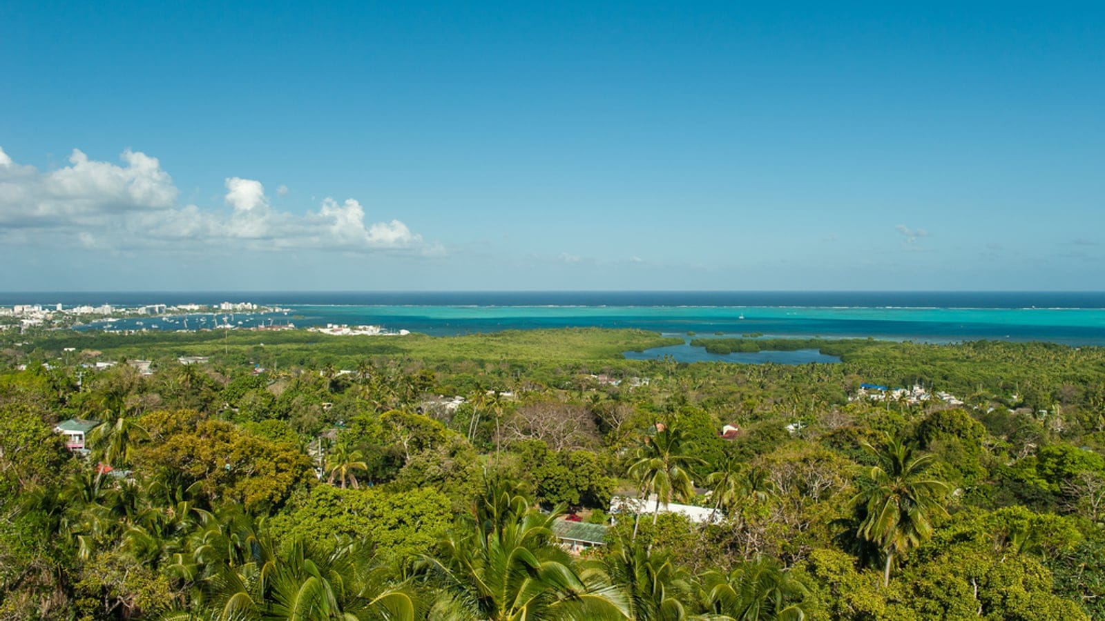 Coconut palms and lagoon mangroves over the settled interior of San Andres Island, Colombia.