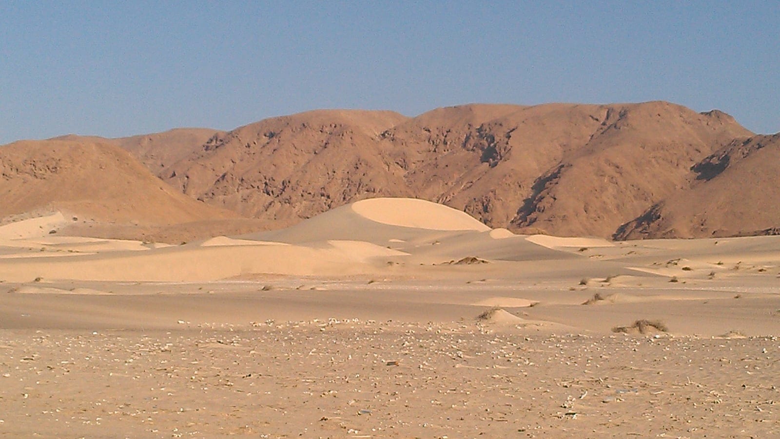 Pale sand desert with low dunes and sparse scrub tufts in the foreground, backed by barren rocky desert mountains under a clear sky, in coastal lowland Somaliland.