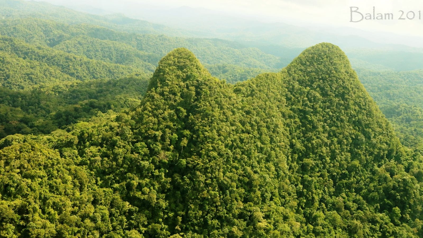 Twin forest-covered conical peaks rising from unbroken rainforest canopy, Rio Platano Biosphere Reserve, Honduras.