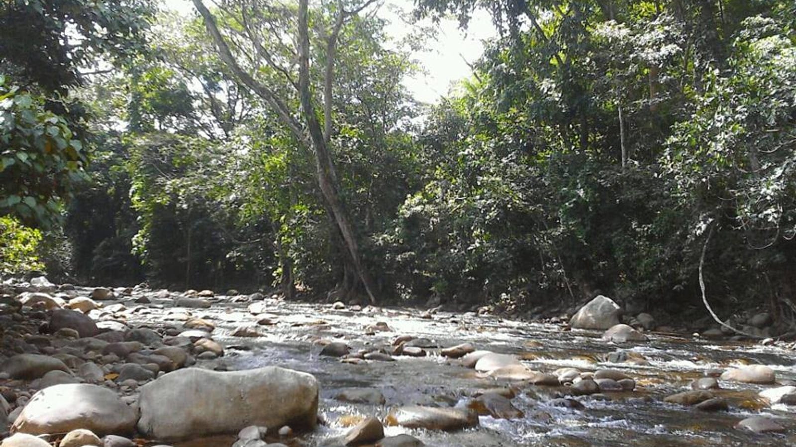 Forêt de montagne et vallée fluviale dans la Cordillera Oriental.