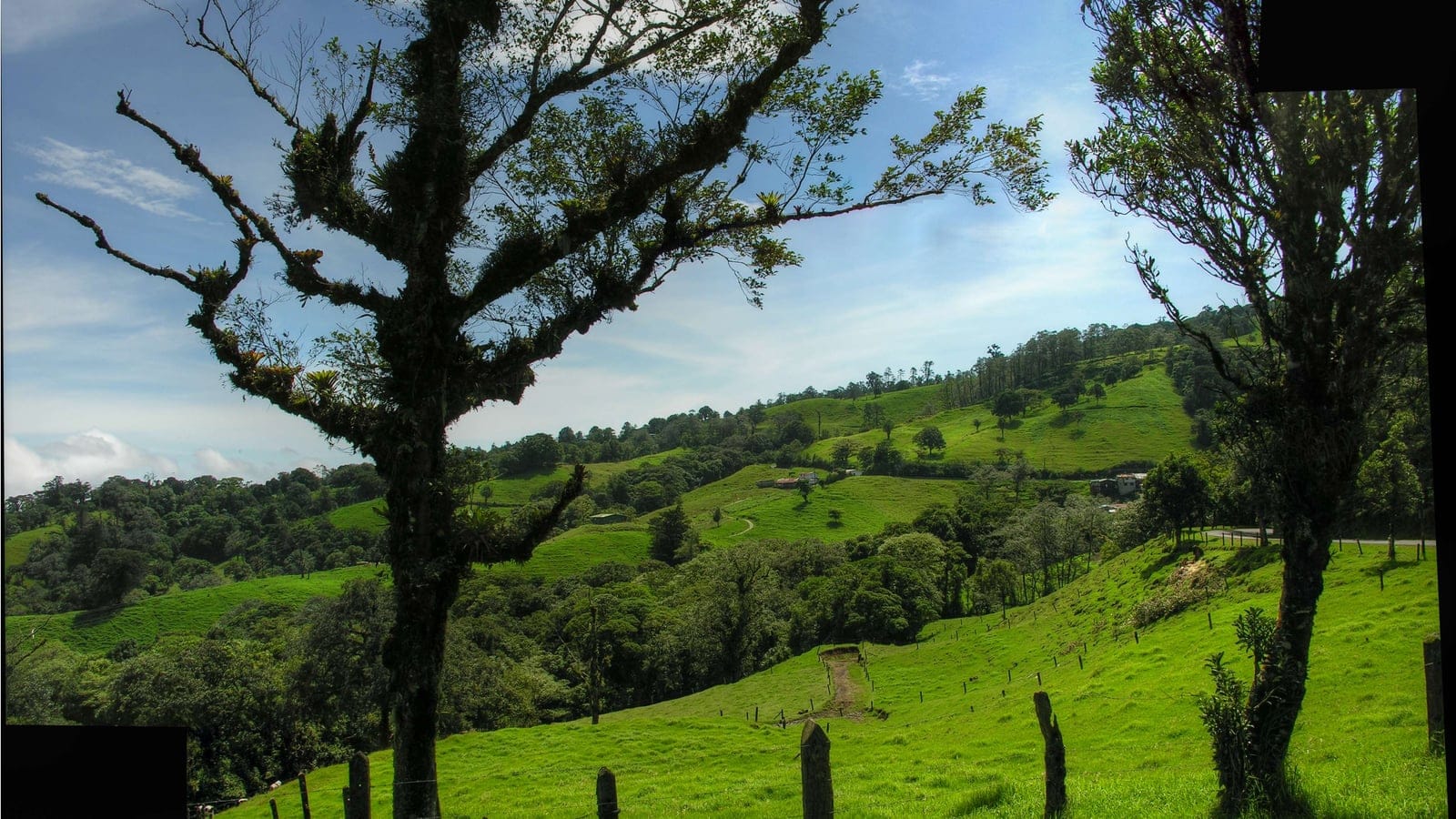 Costa Rican seasonal moist forest and volcanic upland terrain.