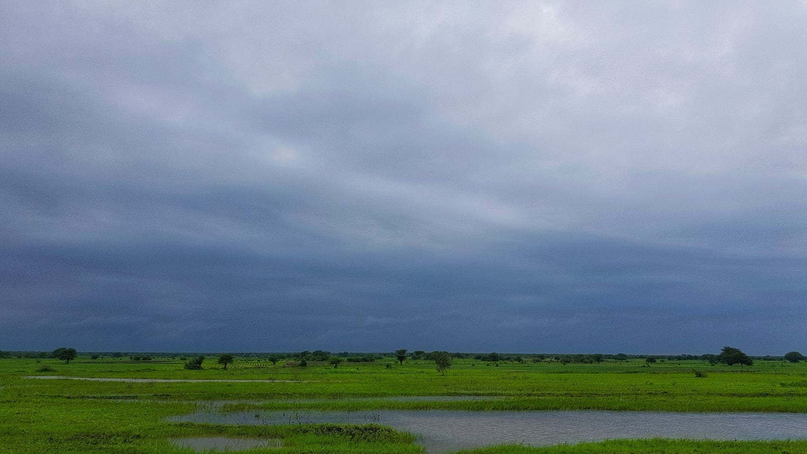 Storm sky over flooded grassland with scattered trees near Itigi, Tanzania.
