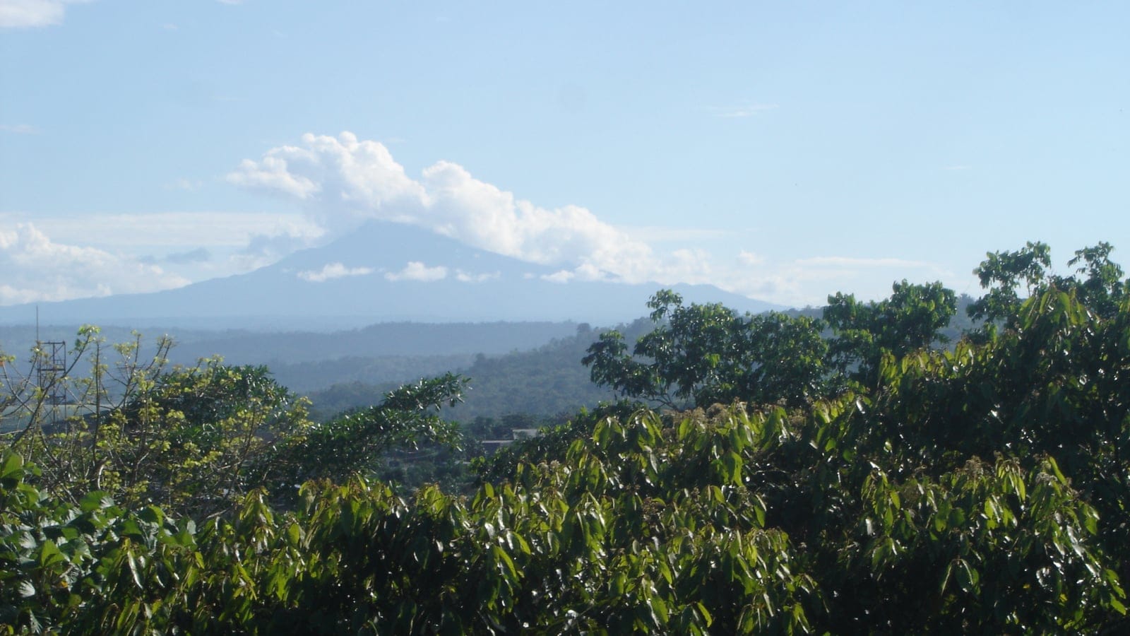 Eastern Cordillera Real montane forest and volcanic uplands around Sumaco.
