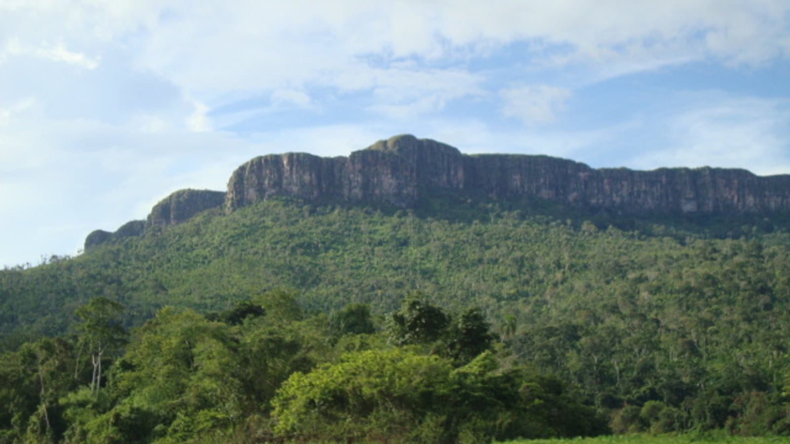 Tepui and river landscape in Parima-Tapirapeco National Park, Venezuela.