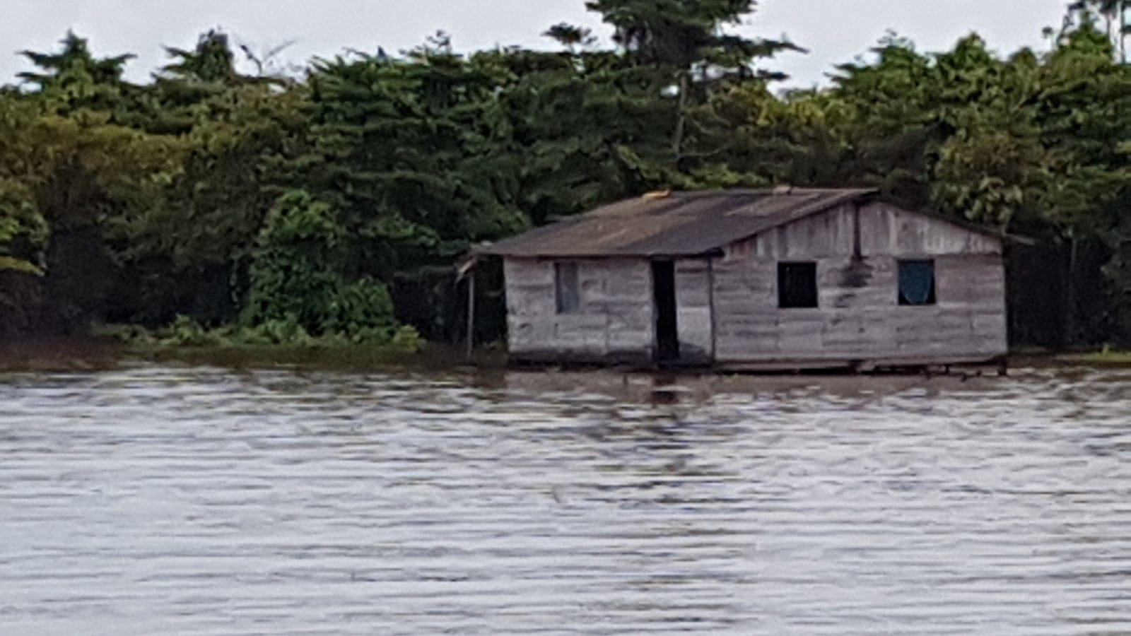 A plank house on stilts at the flooded forest edge of the lower Amazon near Porto de Moz, Brazil.