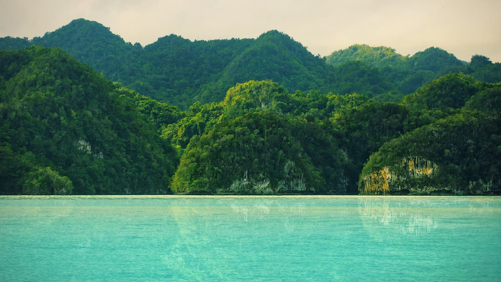 Forested karst and coastal landscape in Los Haitises National Park, Dominican Republic.