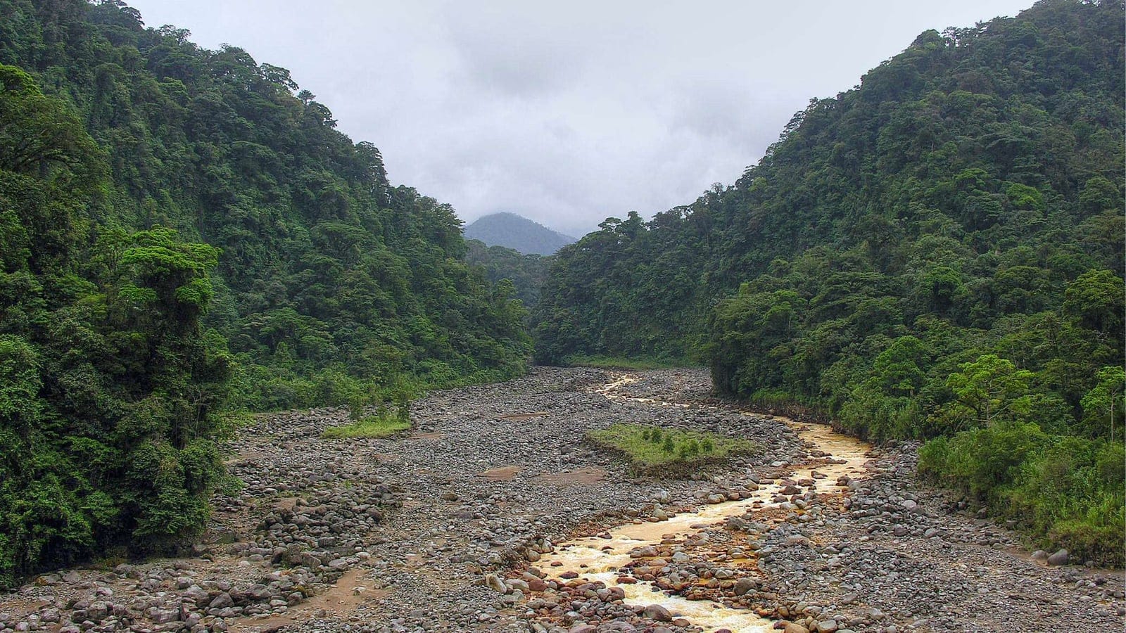 Forested slopes above a boulder riverbed in Braulio Carrillo National Park, Costa Rica.