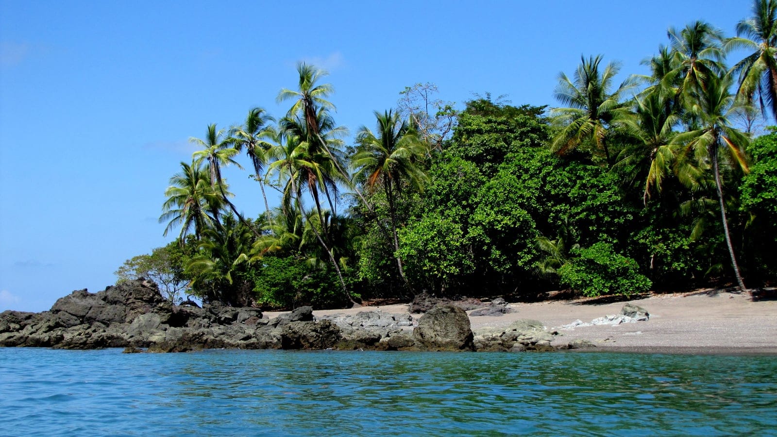 Coconut palms and coastal forest above a rocky shore in Corcovado National Park, Costa Rica.