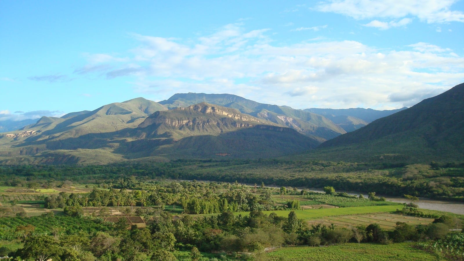 Fields and palms on the valley floor below dry mountain slopes near Cumba, Amazonas, Peru.