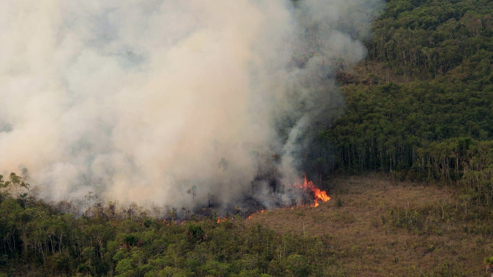 Forest fire response landscape in Xingu Indigenous Park, Mato Grosso.