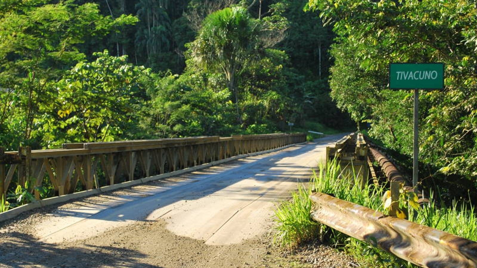Forest road and bridge corridor in Yasuni National Park, Ecuador.